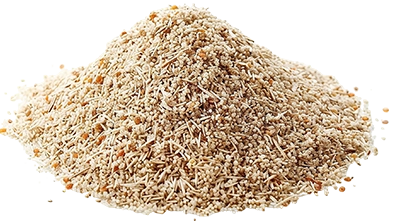 Psyllium